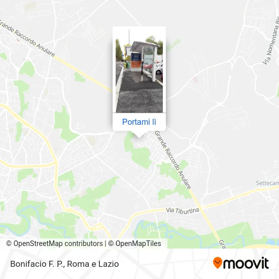 Mappa Bonifacio F. P.