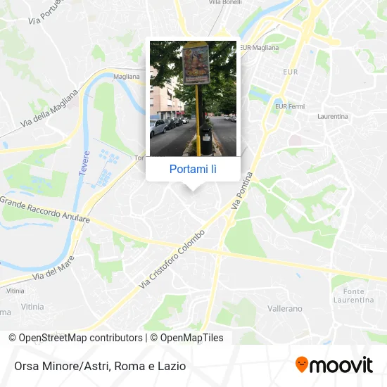 Mappa Orsa Minore/Astri