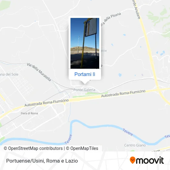 Mappa Portuense/Usini