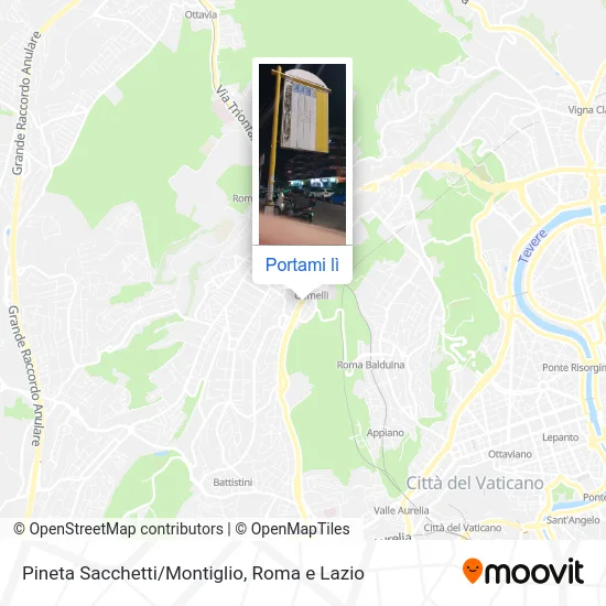 Mappa Pineta Sacchetti/Montiglio