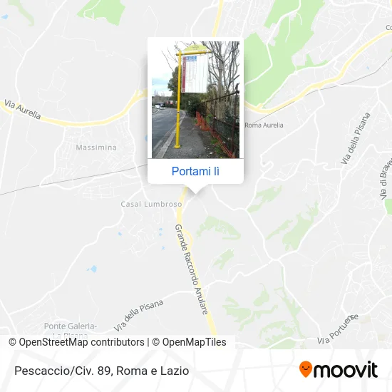 Mappa Pescaccio/Civ. 89