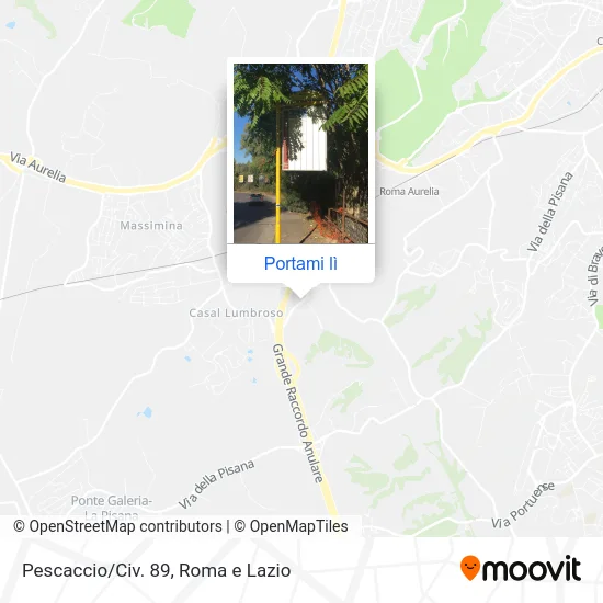 Mappa Pescaccio/Civ. 89