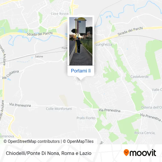 Mappa Chiodelli/Ponte Di Nona