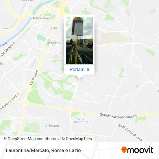 Mappa Laurentina/Mercato