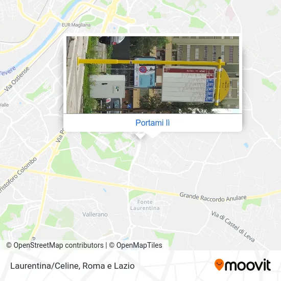 Mappa Laurentina/Celine