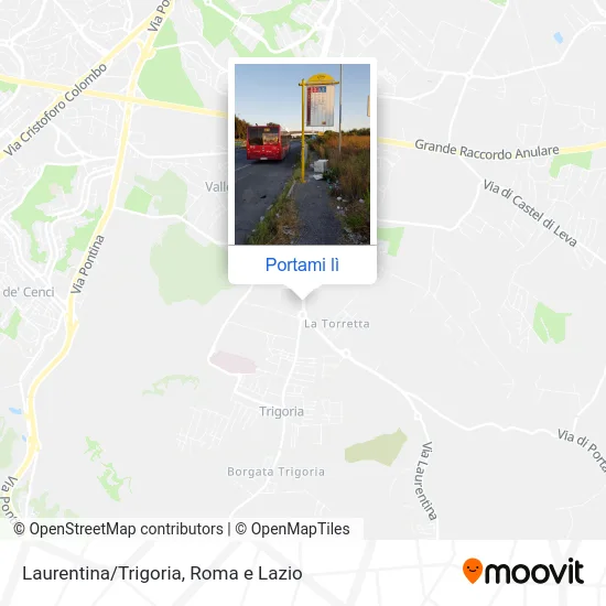 Mappa Laurentina/Trigoria