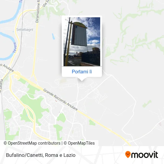 Mappa Bufalino/Canetti