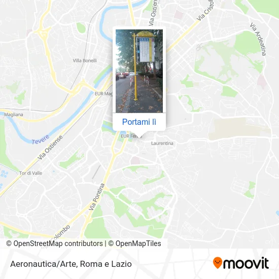 Mappa Aeronautica/Arte