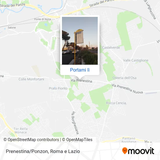 Mappa Prenestina/Ponzon