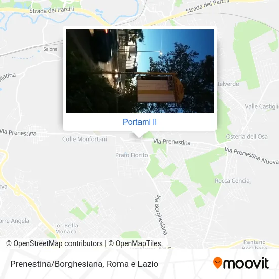 Mappa Prenestina/Borghesiana