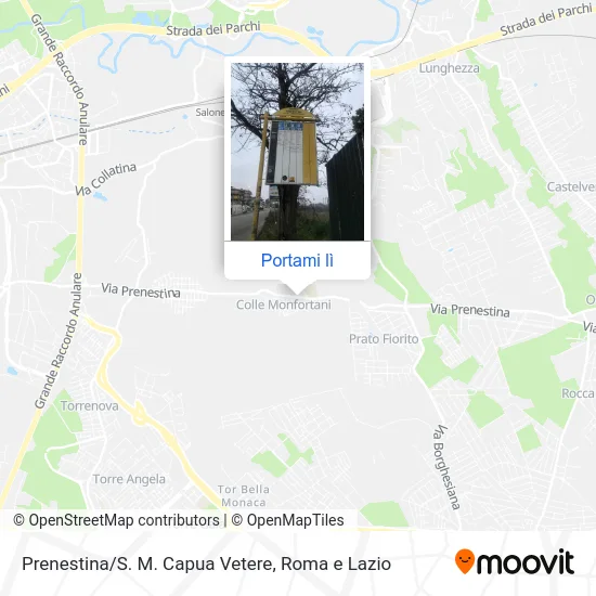 Mappa Prenestina/S. M. Capua Vetere