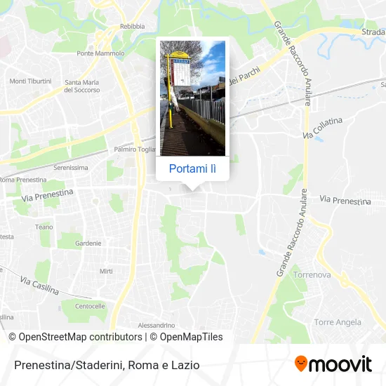 Mappa Prenestina/Staderini