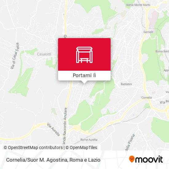 Mappa Cornelia/Suor M. Agostina