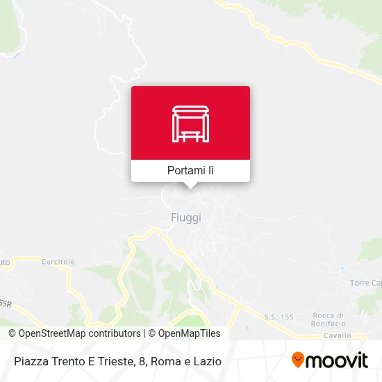 Mappa Piazza Trento E Trieste, 8