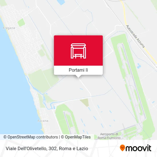 Mappa Viale Dell'Olivetello, 302
