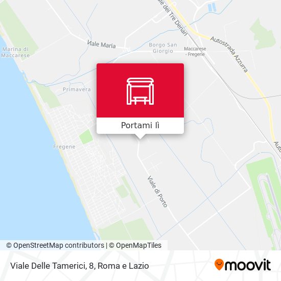 Mappa Viale Delle Tamerici, 8