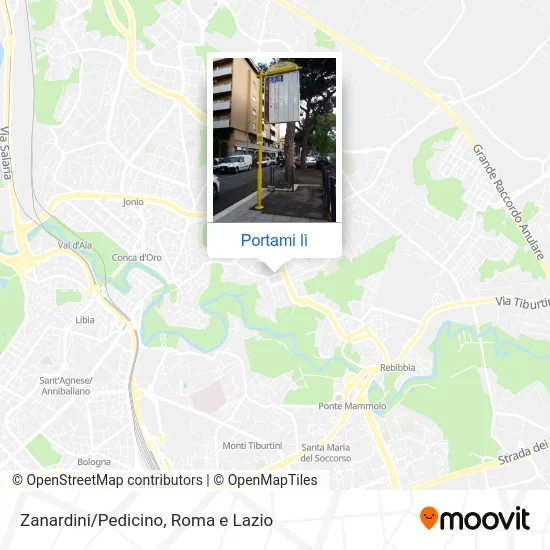 Mappa Zanardini/Pedicino