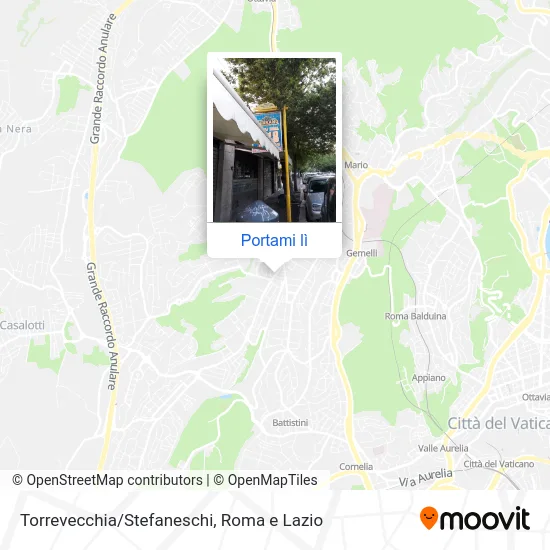 Mappa Torrevecchia/Stefaneschi