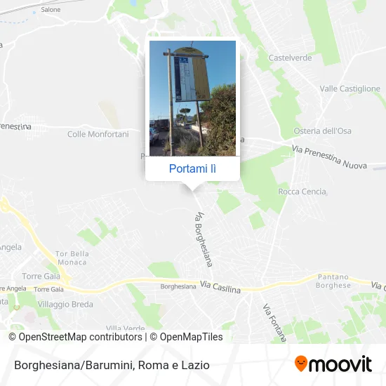 Mappa Borghesiana/Barumini