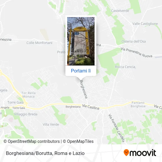 Mappa Borghesiana/Borutta