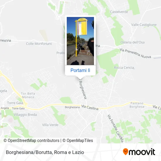 Mappa Borghesiana/Borutta