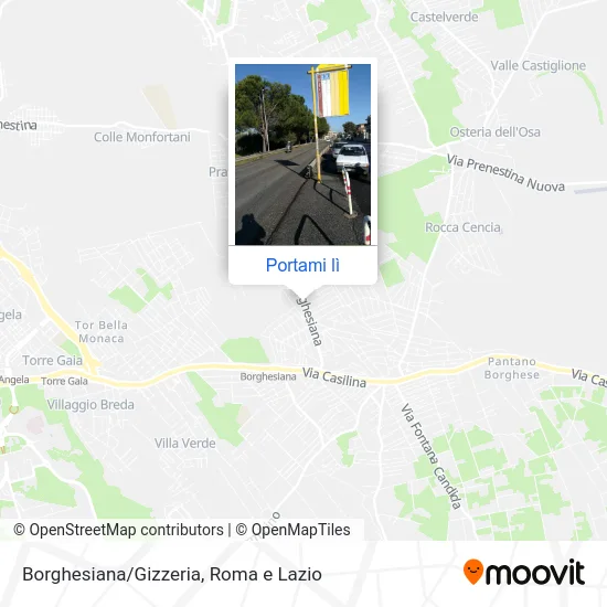 Mappa Borghesiana/Gizzeria