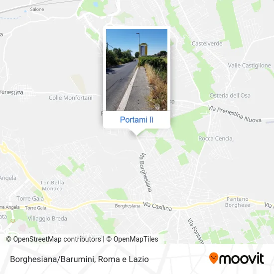 Mappa Borghesiana/Barumini