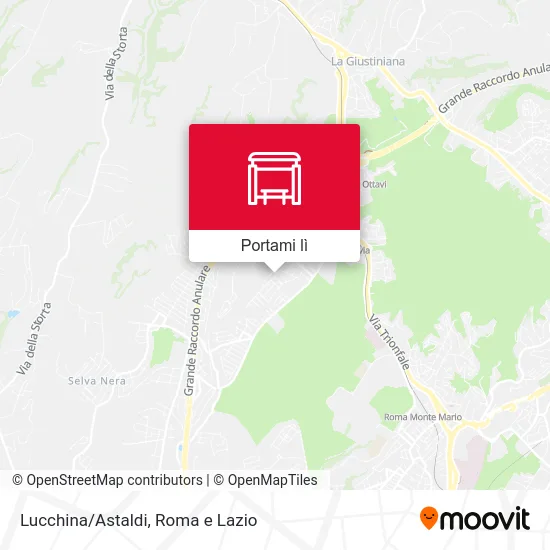 Mappa Lucchina/Astaldi