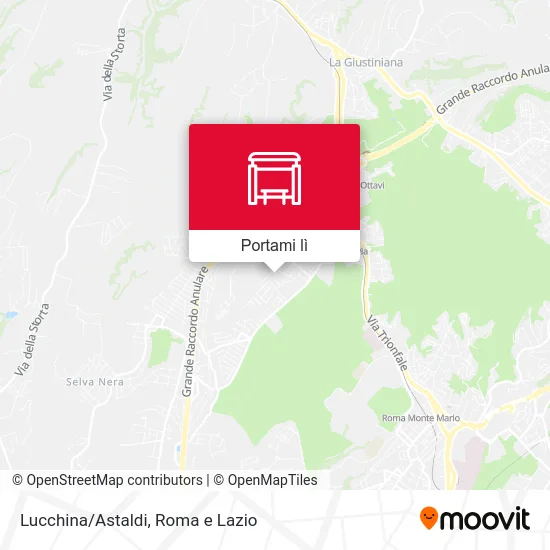 Mappa Lucchina/Astaldi