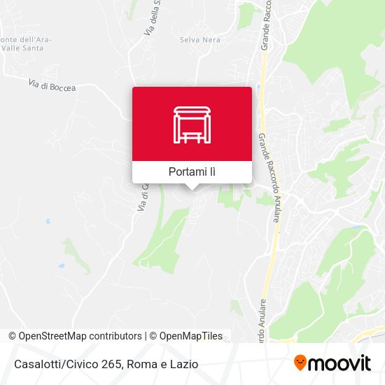 Mappa Casalotti/Civico 265