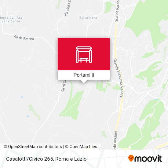 Mappa Casalotti/Civico 265