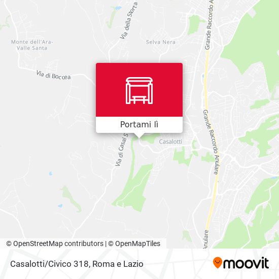 Mappa Casalotti/Civico 318