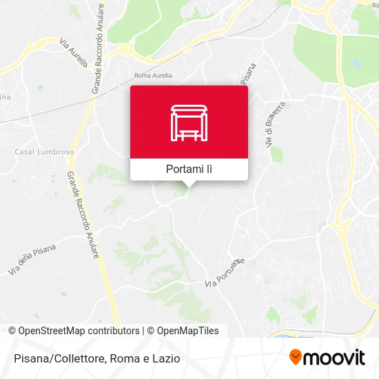 Mappa Pisana/Collettore