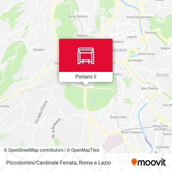 Mappa Piccolomini/Cardinale Ferrata