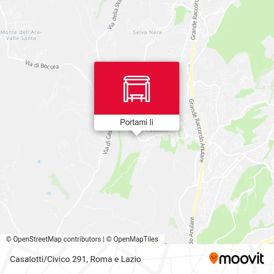 Mappa Casalotti/Civico 291