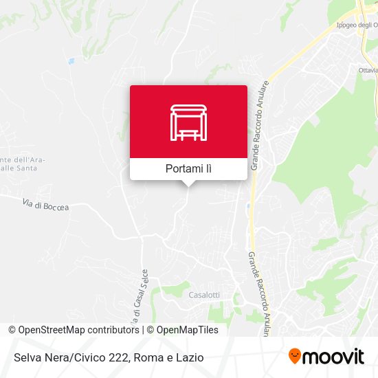 Mappa Selva Nera/Civico 222
