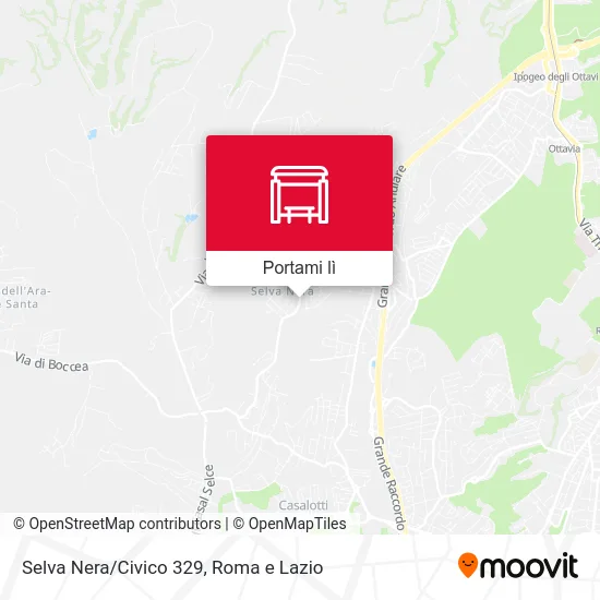 Mappa Selva Nera/Civico 329