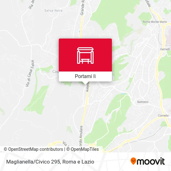 Mappa Maglianella/Civico 295