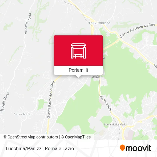 Mappa Lucchina/Panizzi