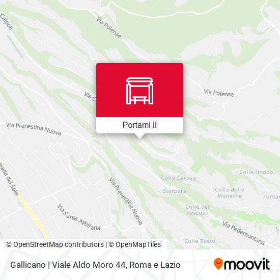 Mappa Gallicano | Viale Aldo Moro 44
