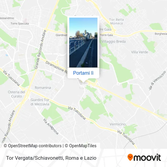 Mappa Tor Vergata/Schiavonetti