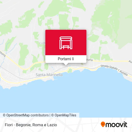 Mappa Fiori - Begonie