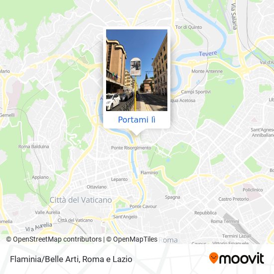 Mappa Flaminia/Belle Arti