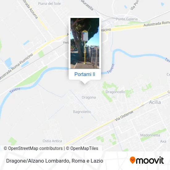 Mappa Dragone/Alzano Lombardo