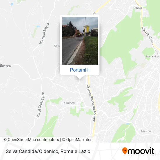 Mappa Selva Candida/Oldenico