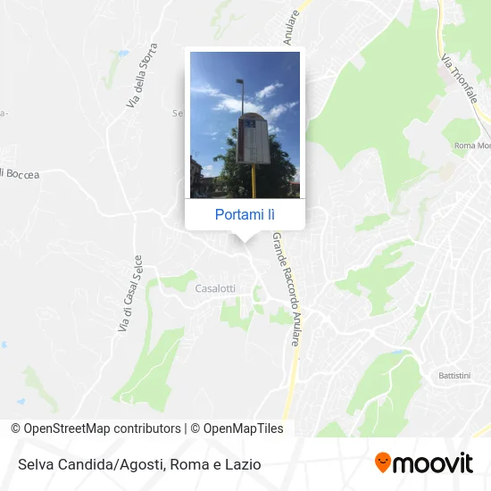 Mappa Selva Candida/Agosti