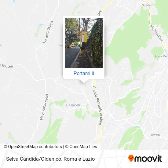 Mappa Selva Candida/Oldenico