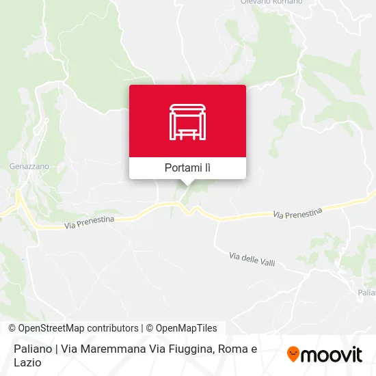 Mappa Paliano | Via Maremmana Via Fiuggina