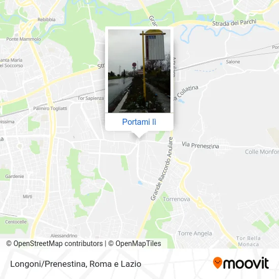 Mappa Longoni/Prenestina