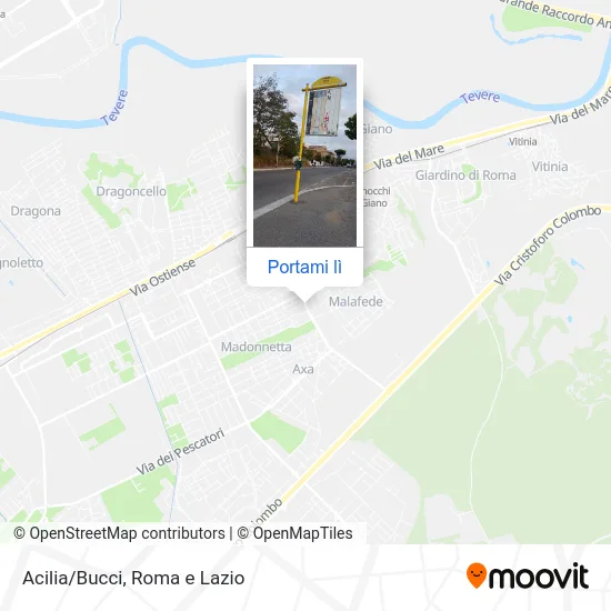 Mappa Acilia/Bucci